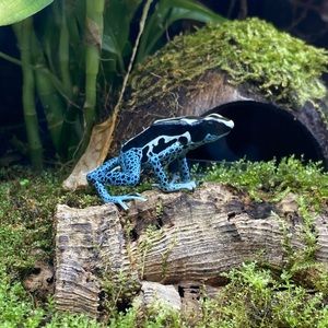 Meet your Posher, Jason